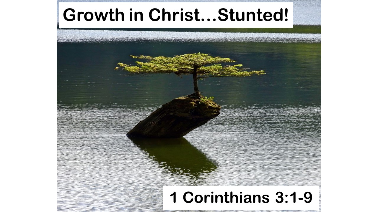 Growth in Christ… Stunted