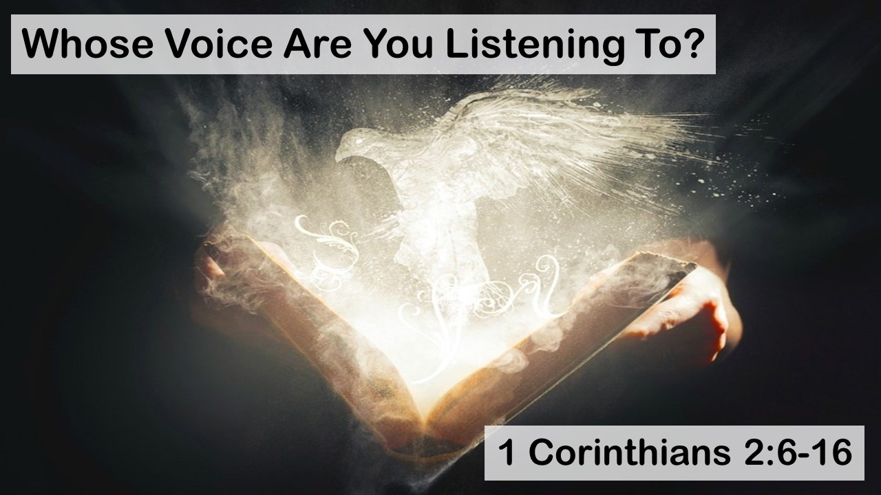 Whose Voice Are You Listening To?