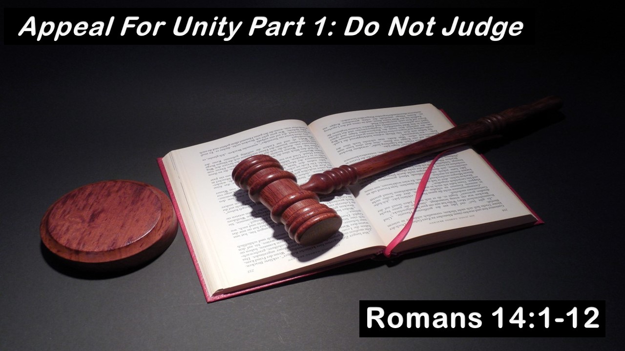 Appeal For Unity Part 1: Do Not Judge