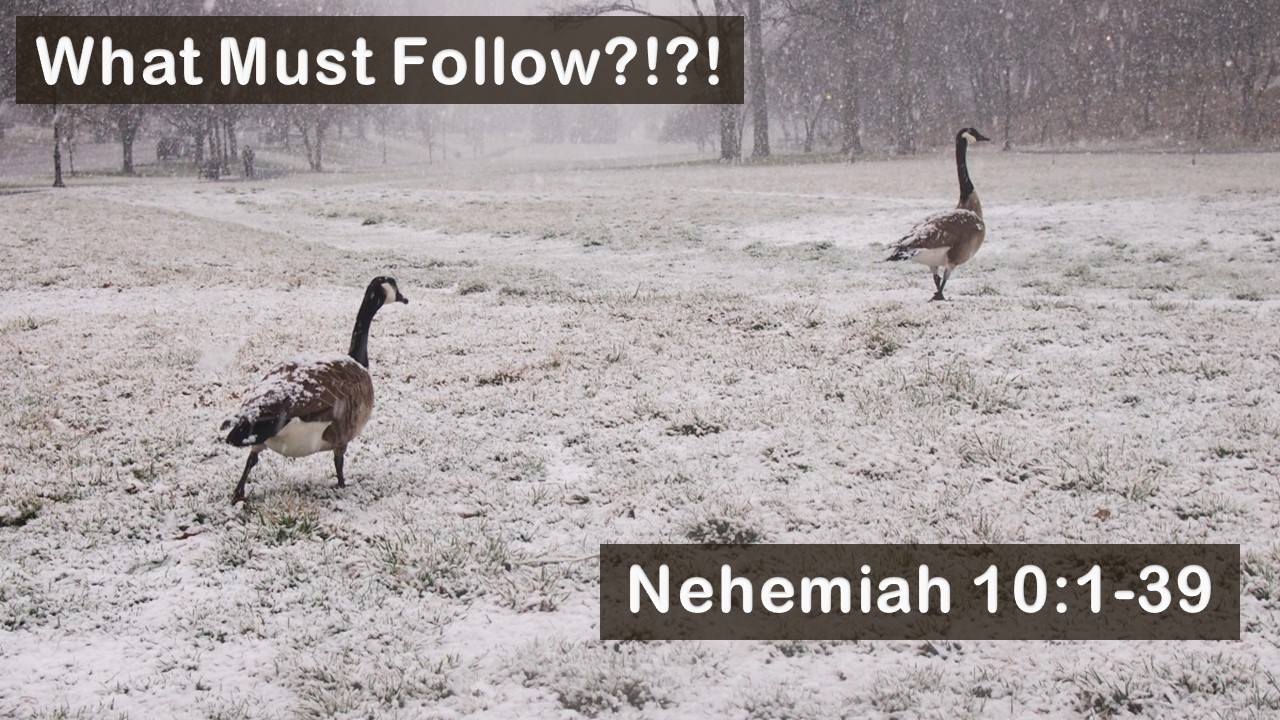 What Must Follow?!?!