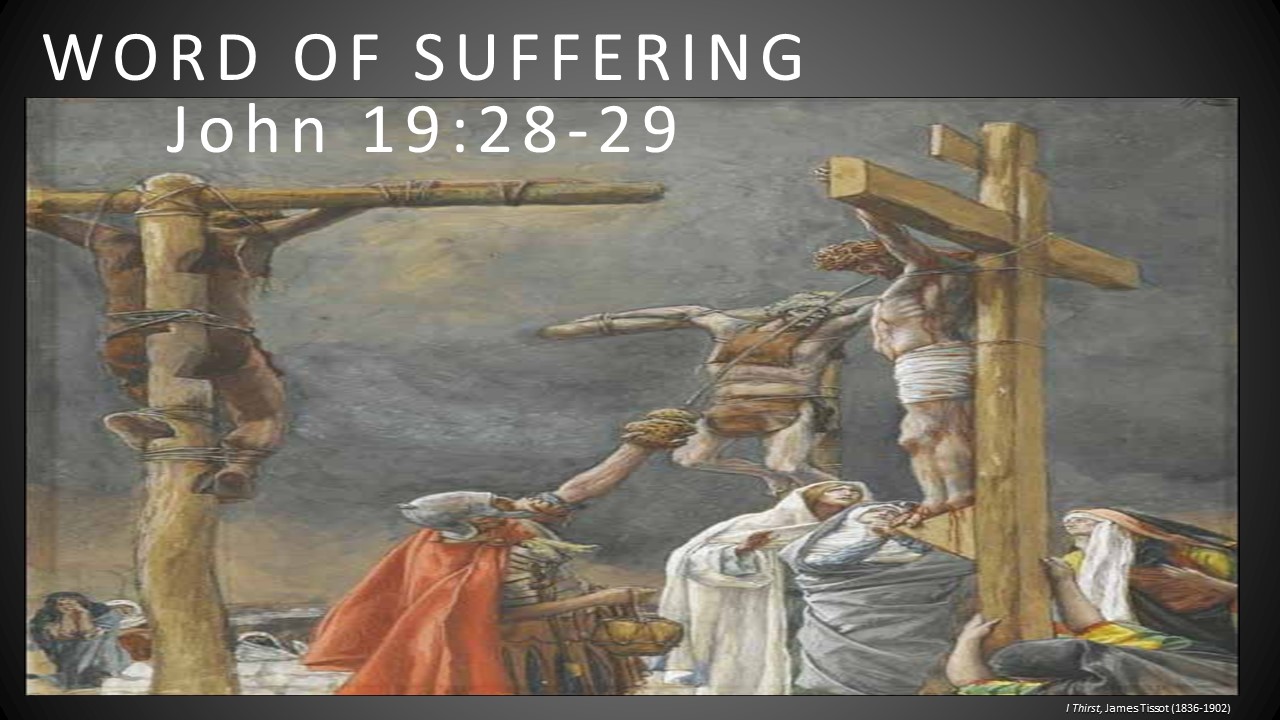 Seven Statements of Our Suffering Savior Part 5