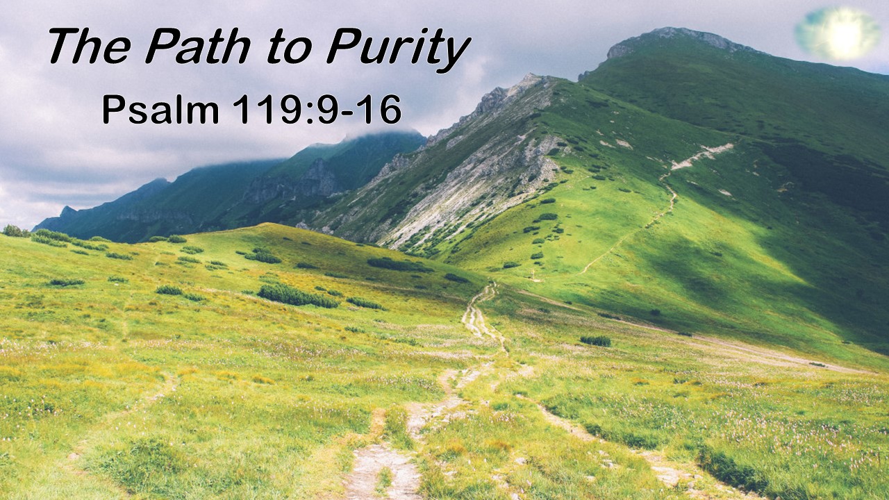 Psalm 119:9-16: The Path to Purity