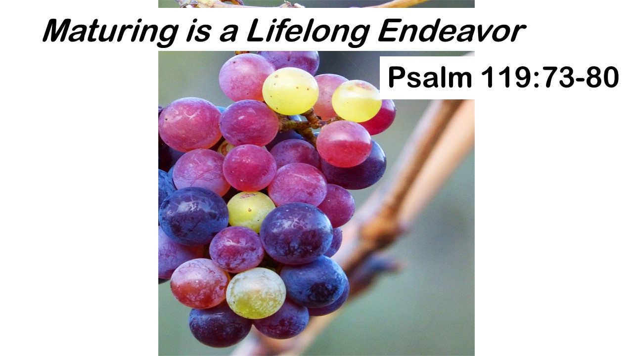Psalm 119:73-80: Maturing is a Lifelong Endeavor