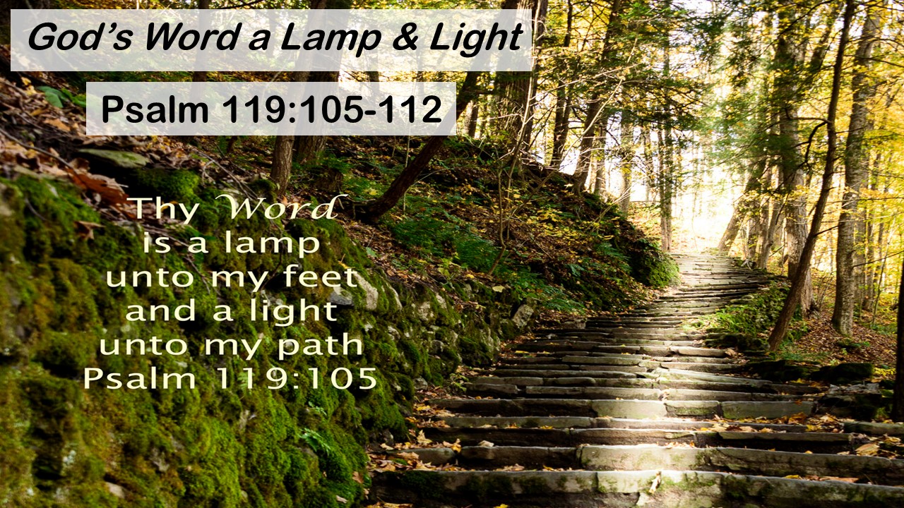 Psalm 119:105-112: God’s Word a Lamp & Light
