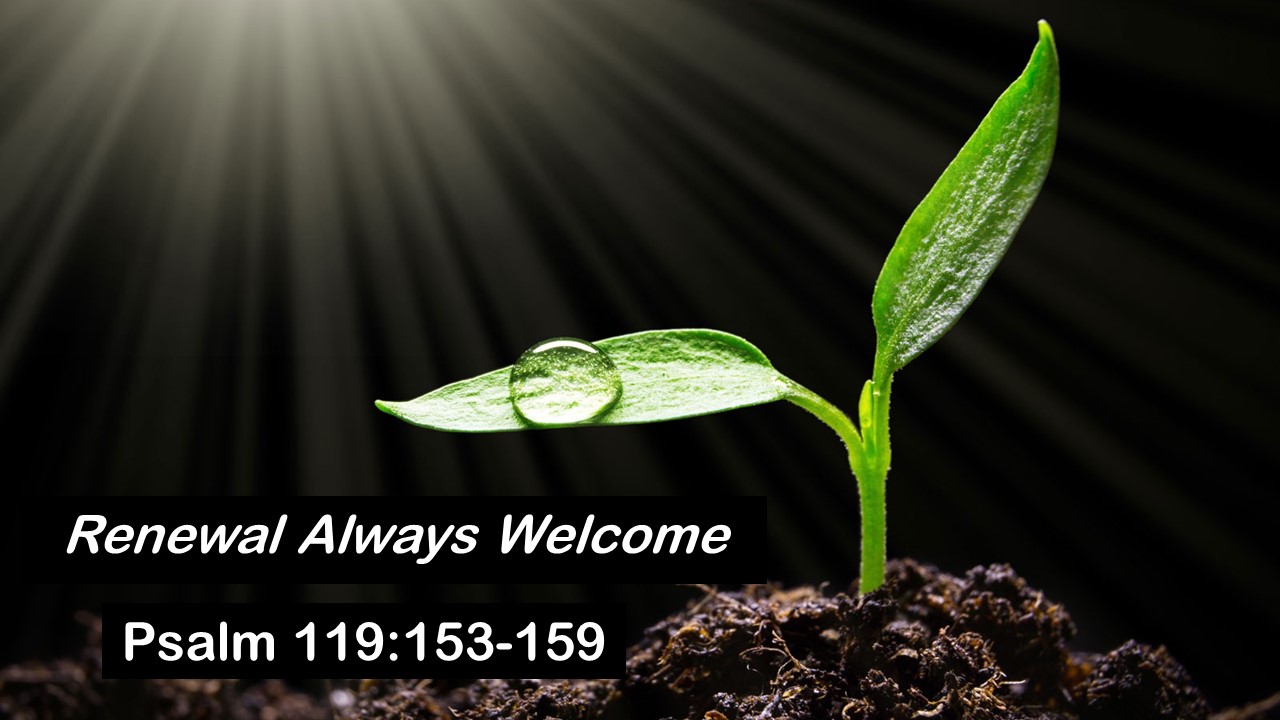 Psalm 119:153-159: Renewal Always Welcome