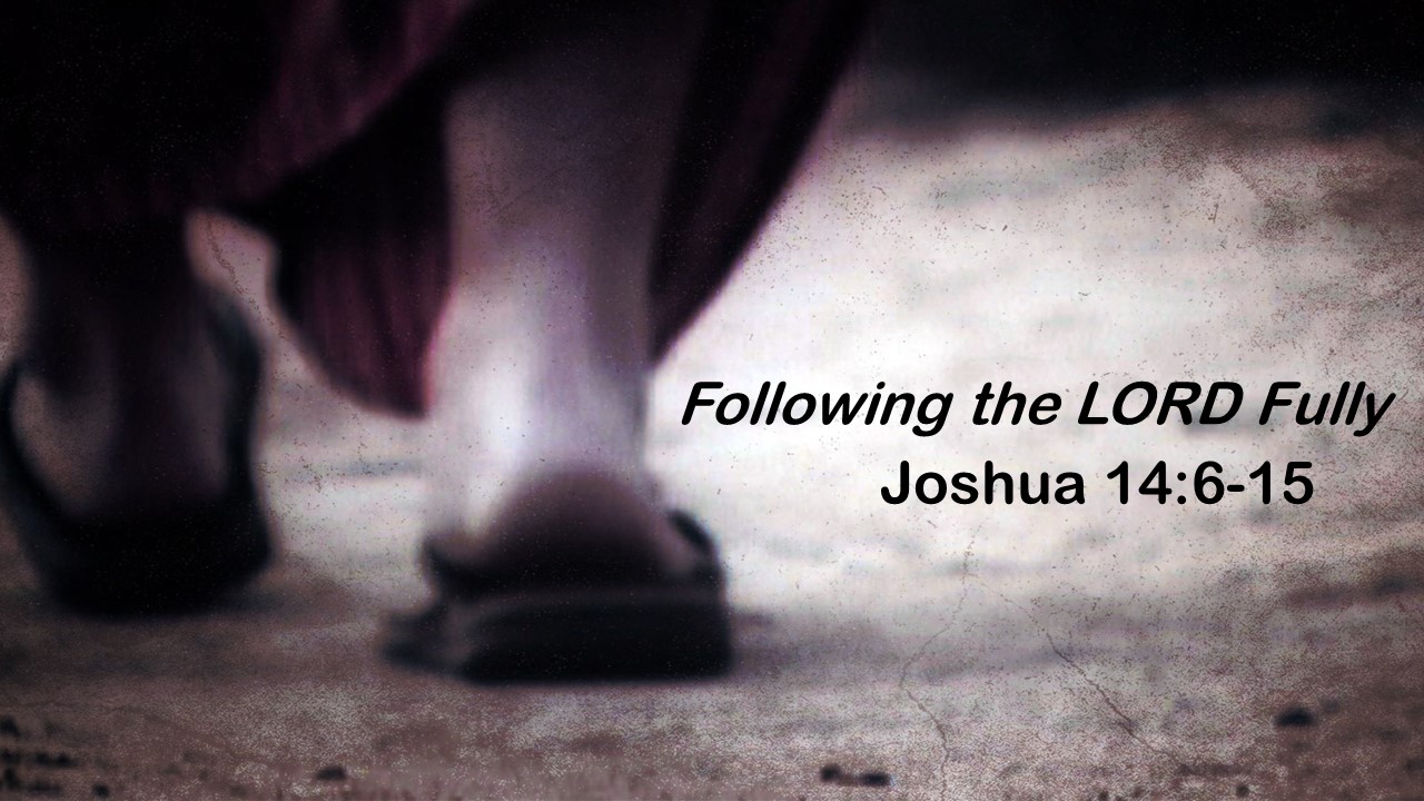 Following the LORD Fully