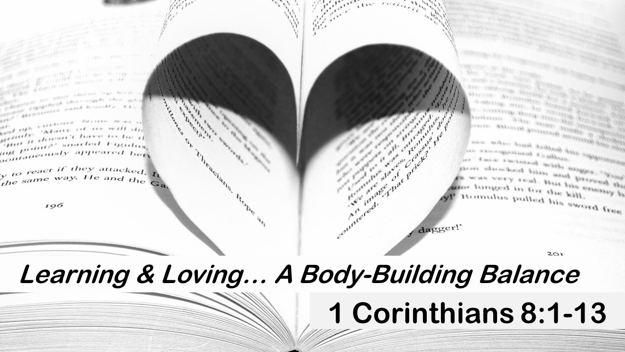 Learning & Loving… A Body-Building Balance